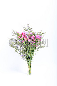 花產品圖片_花產品素材_花產品高清圖片_攝圖網圖片下載