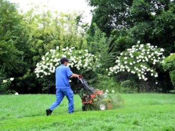 圖 河東區專業除野草公司 公司除野草 空地除草 工地除草 天津鮮花綠植